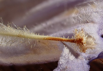 PB070767a.jpg